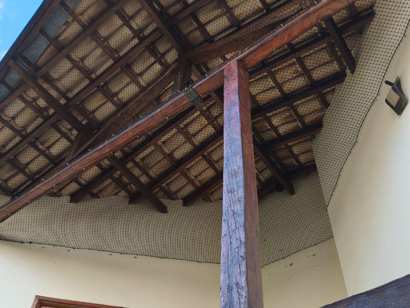 Casas